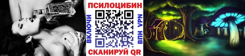 Галлюциногенные грибы Psilocybe  Инза 